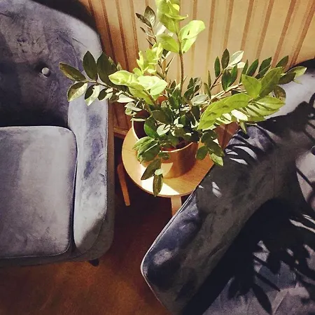 Diana Park Хостел