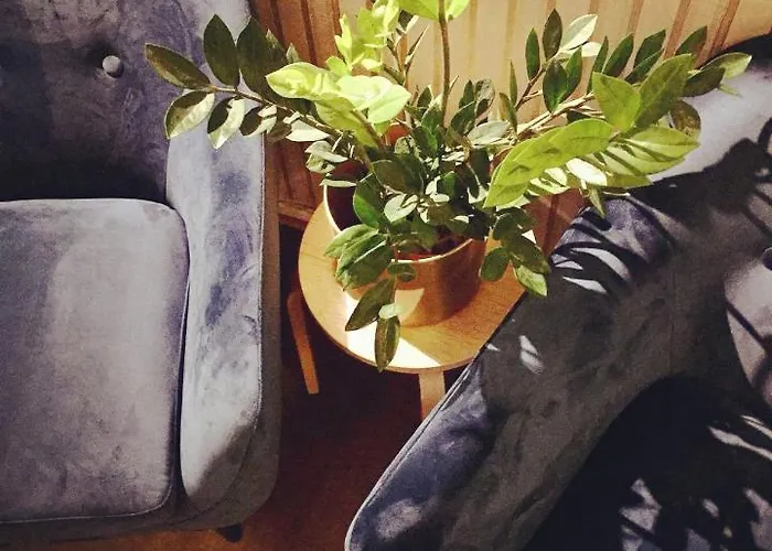 Diana Park Vandrerhjem